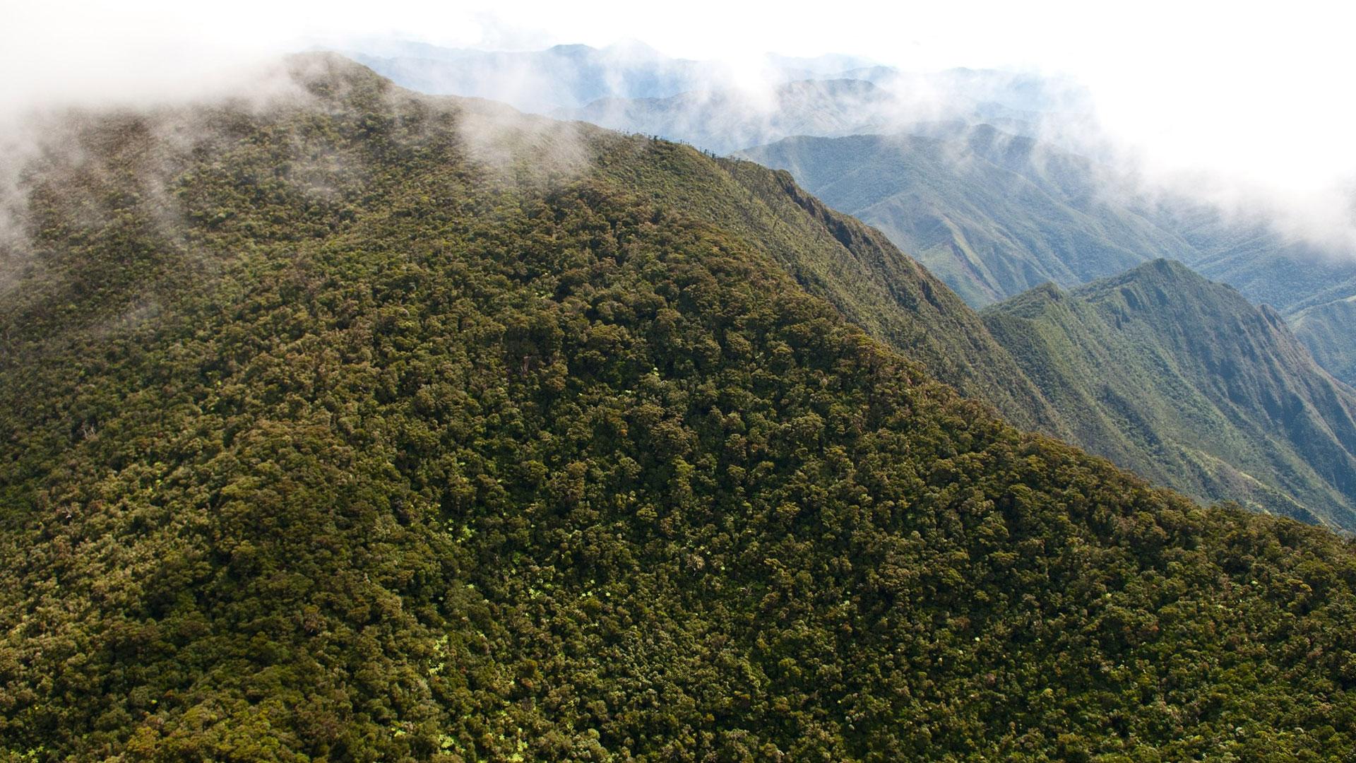 La NouvelleCalédonie, une île fragilisée WWF France