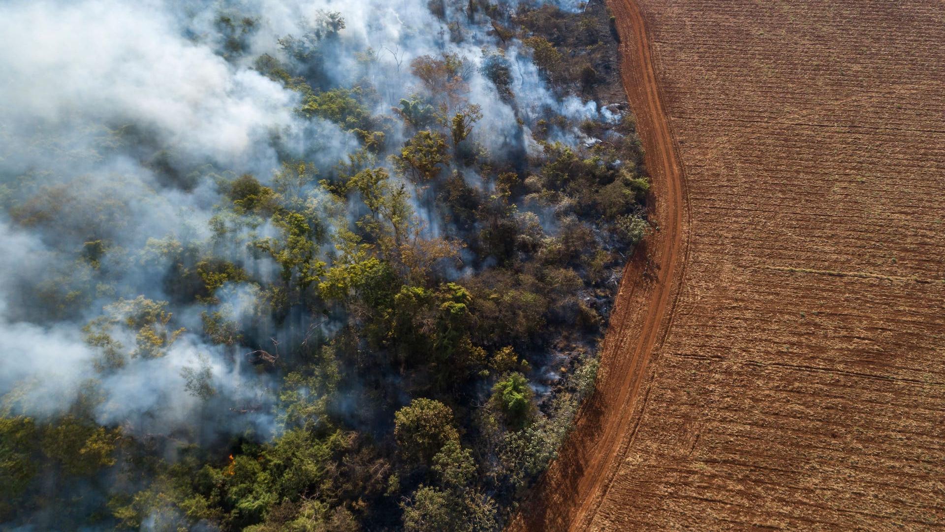 La forêt amazonienne en feux au Brésil.