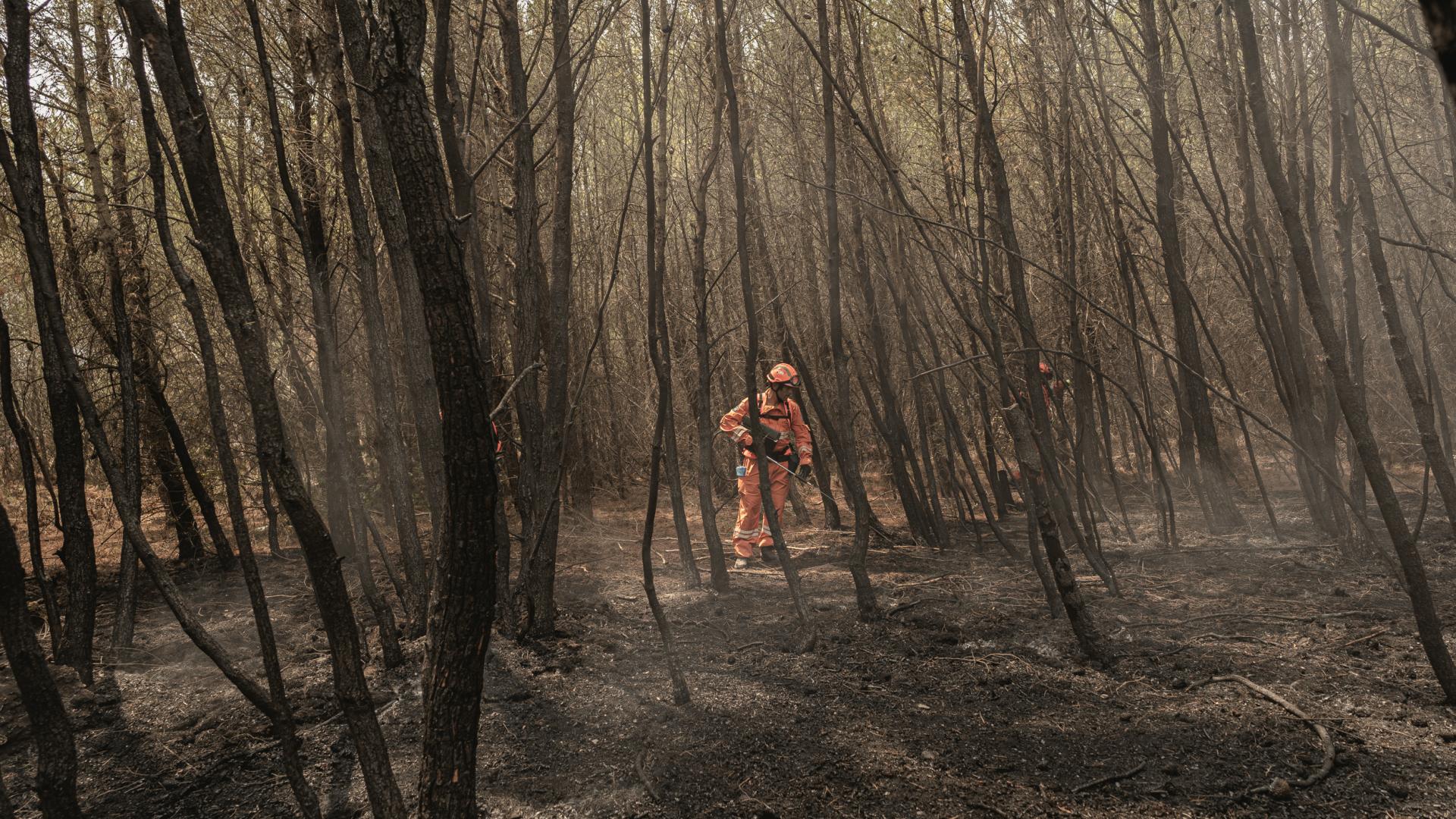 Un pompier maîtrise les flammes dans une forêt grecque