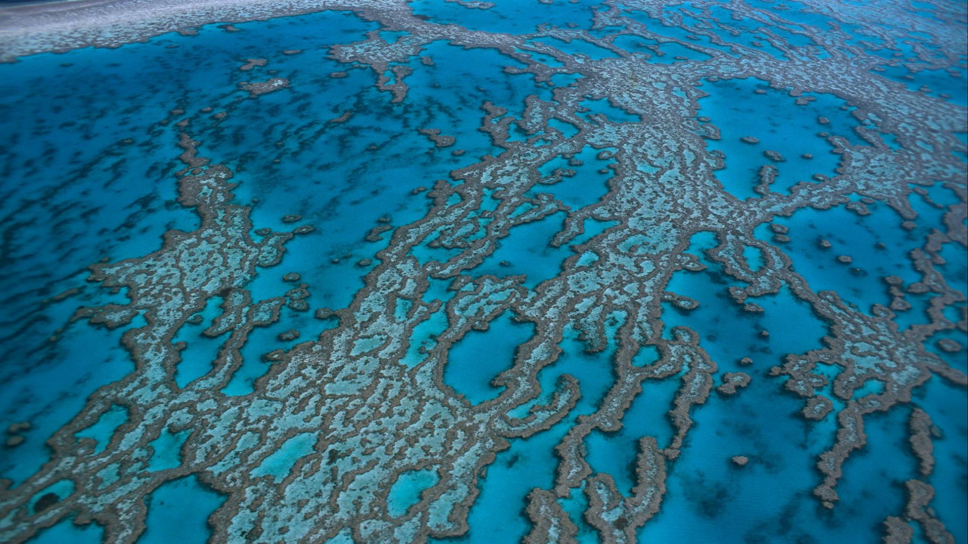 Grande barrière de corail vue du ciel, Australie