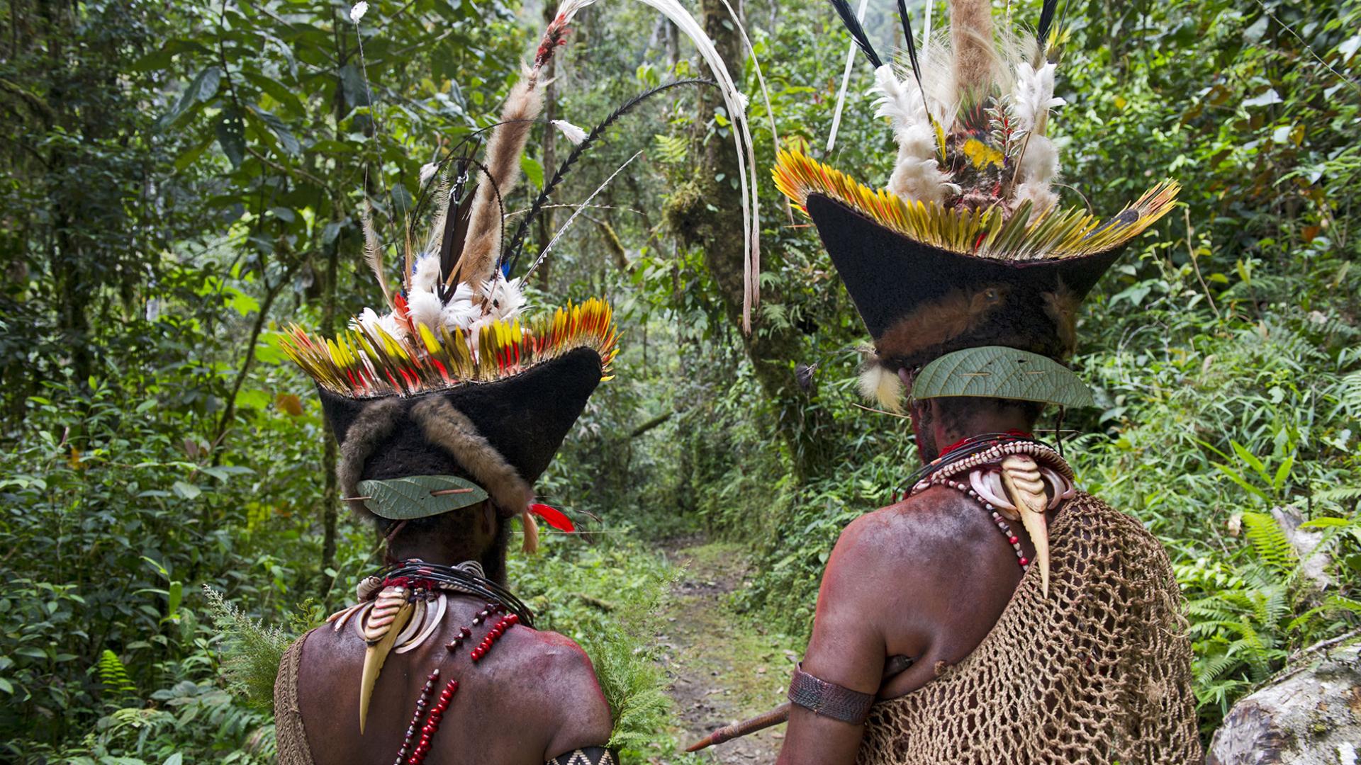 Hommes Huli utilisant des becs de Calao comme collier