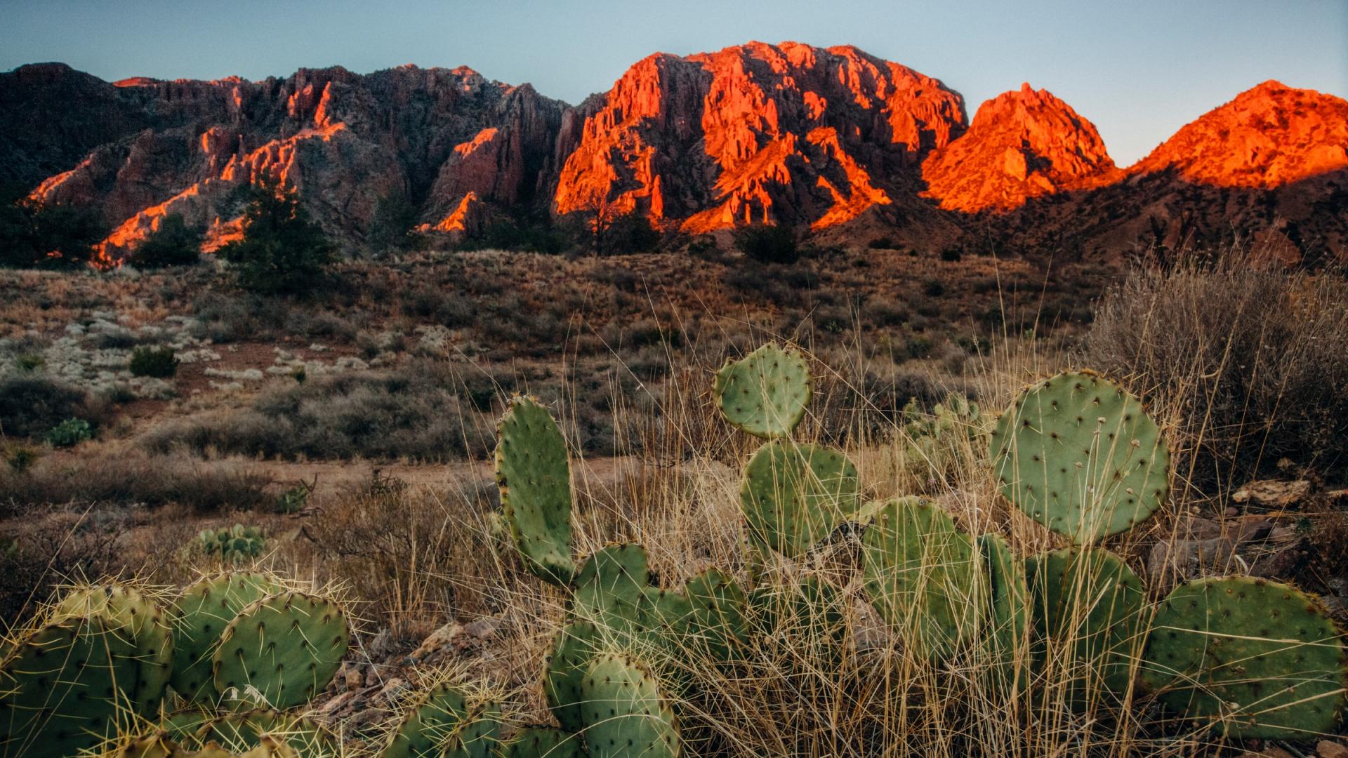 Paysage du Parc national du Big Bend, Texas (Etats-Unis)