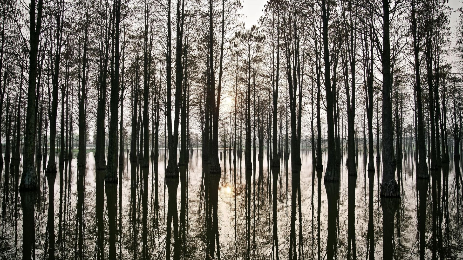 Lac Dalian près de Shangai