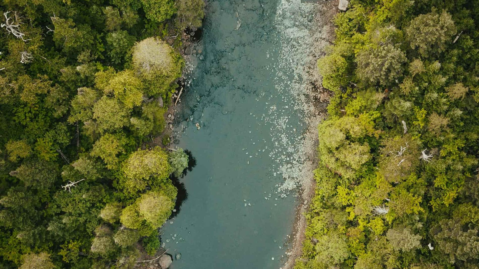 Vue du ciel rivière et forêts- Lab Transition Nature