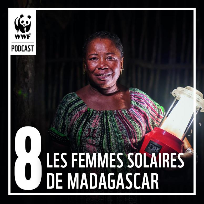 Podcast l'Effet Panda - Episode 8 - Les femmes solaires de Madagascar