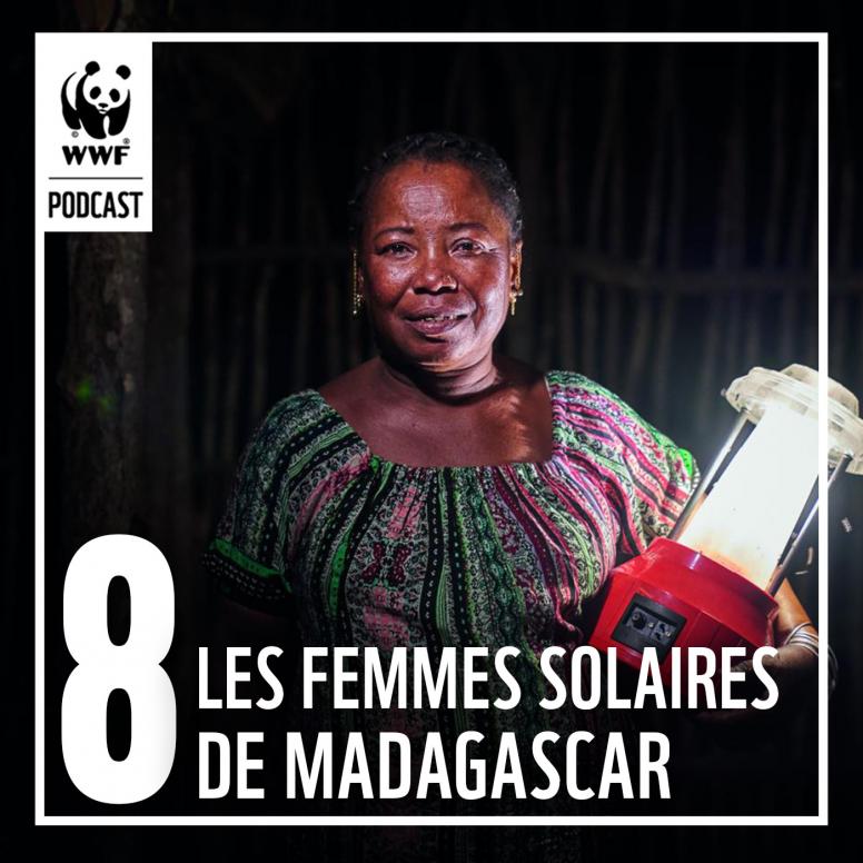 Key visual - Podcast Effet Panda – Episode 8 - Femmes solaires (carré) Podcast l'Effet Panda - Episode 8 - Les femmes solaires de Madagascar