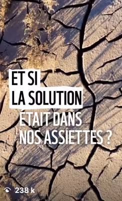 Et si la solution était dans nos assiettes ? 