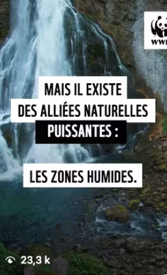 Les zones humides comme solutions