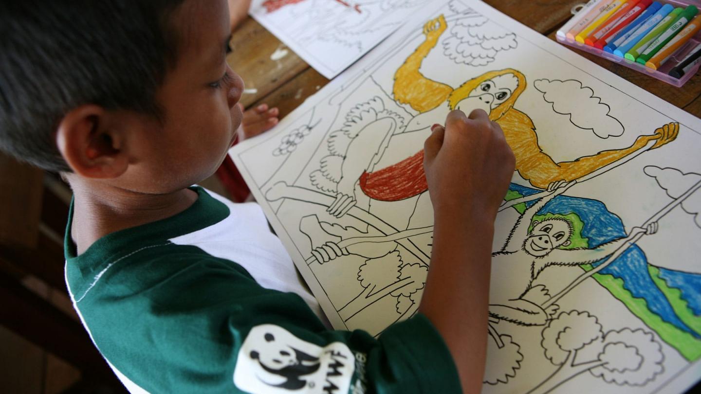 Jeune indonésien de Kalimantan sensibilisé à la conservation des orangs-outans d'Indonésie