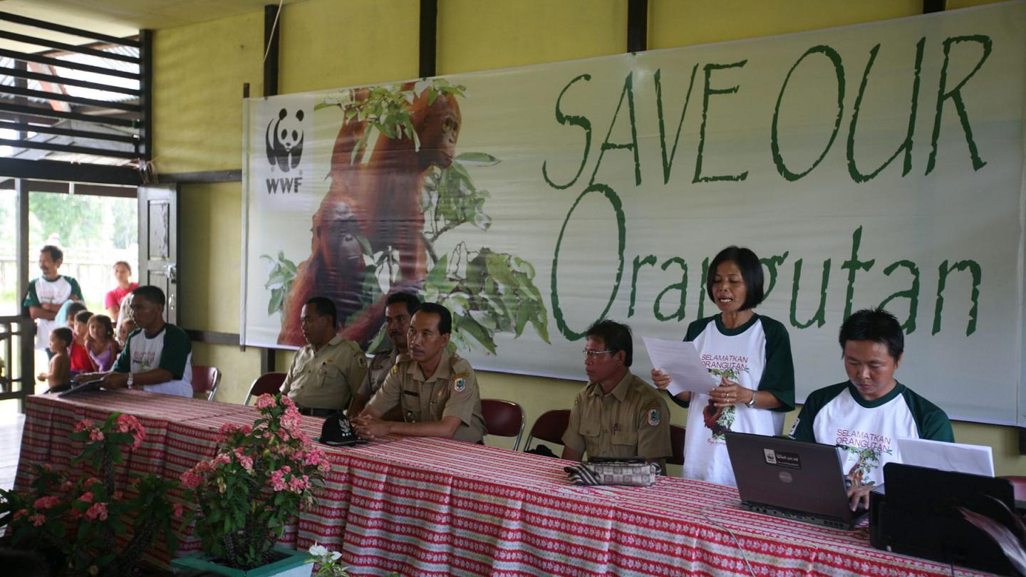 Campagne de sensibilisation à la conservation des orangs-outans à Kalimantan, Bornéo