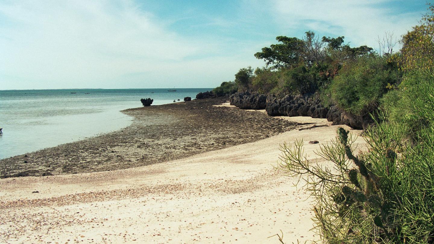Île d'Ibo, archipel Quirimbas (Mozambique)