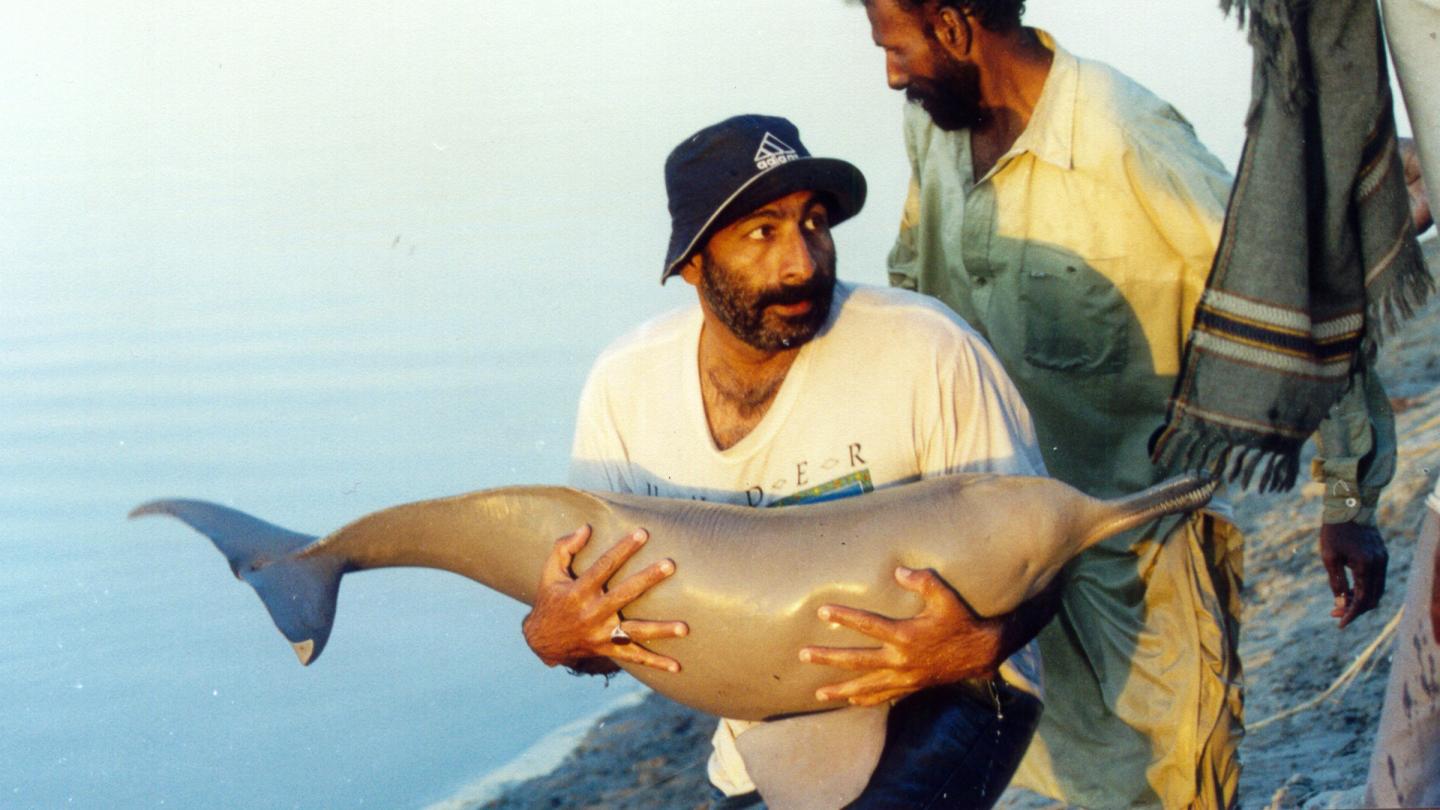 L'équipe du Sindh Wildlife Department venant en aide à une dauphin de l'Indus (Pakistan)