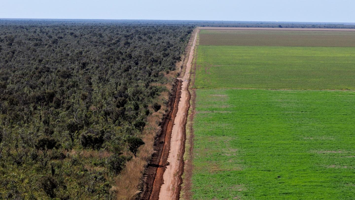 Vue aérienne des cultures de soja dans le Cerrado