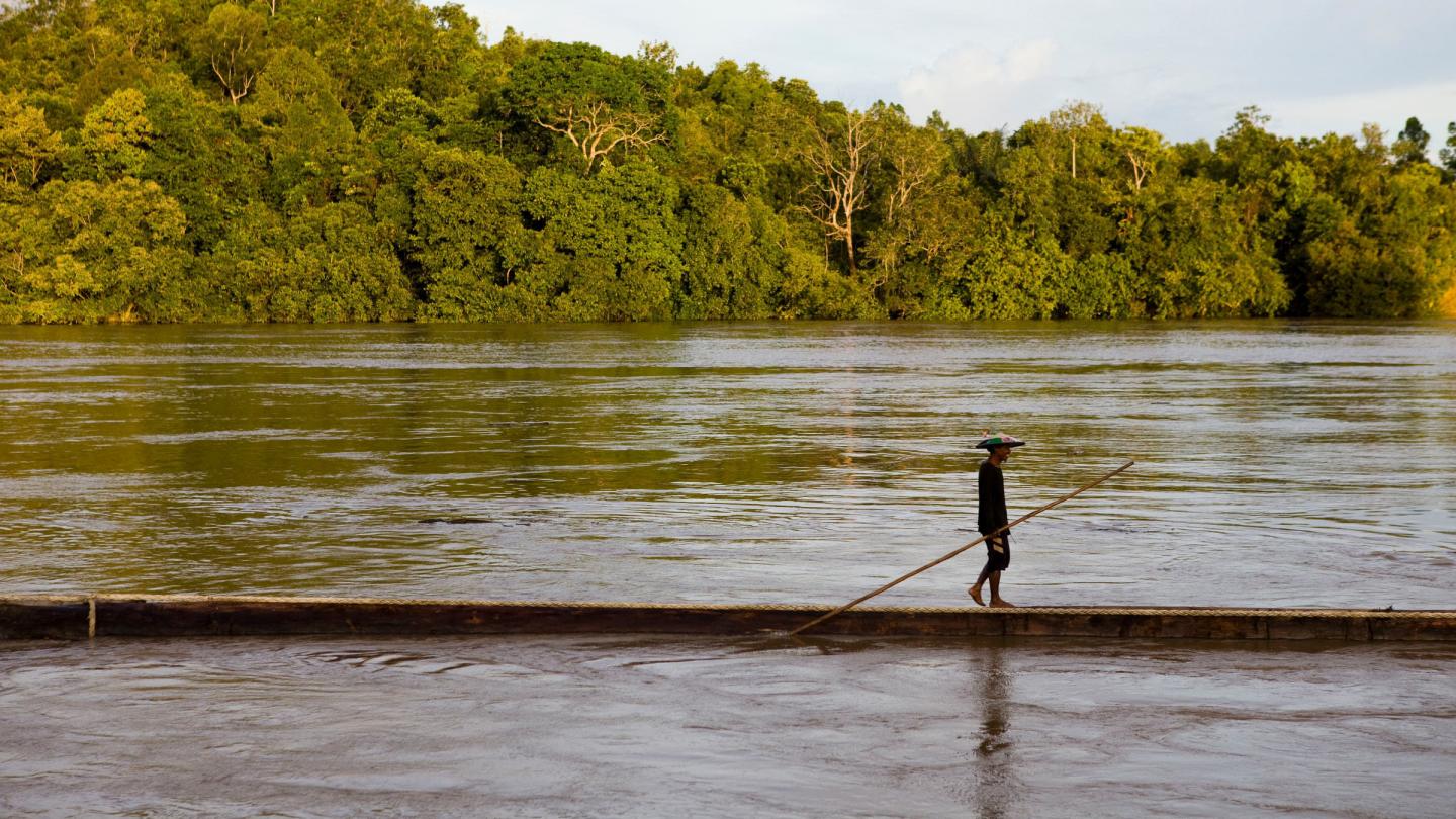 Est de Kalimantan, Borneo (Indonésie)