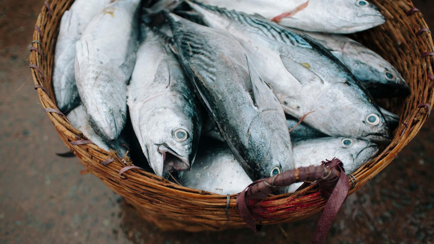 Poissons dans un panier, marché au poisson de My Tho, Mekong, Vietnam. 