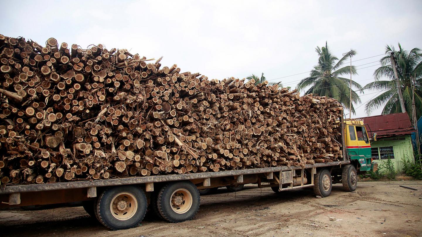 Camion transportant des troncs d'acacias, provnce de Riau, Sumatra