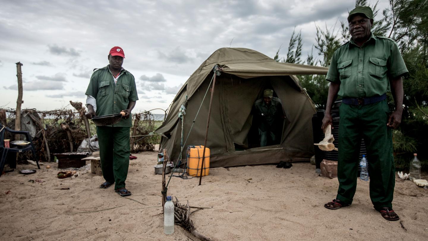 Ecogardes sur l'île de Mafamude (Mozambique)