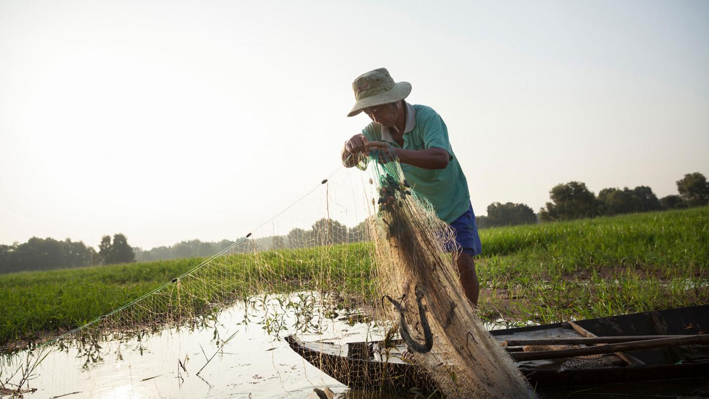 Pêcheur sort un filet de l'eau du Mekong,  Tram Chim (Vietnam)