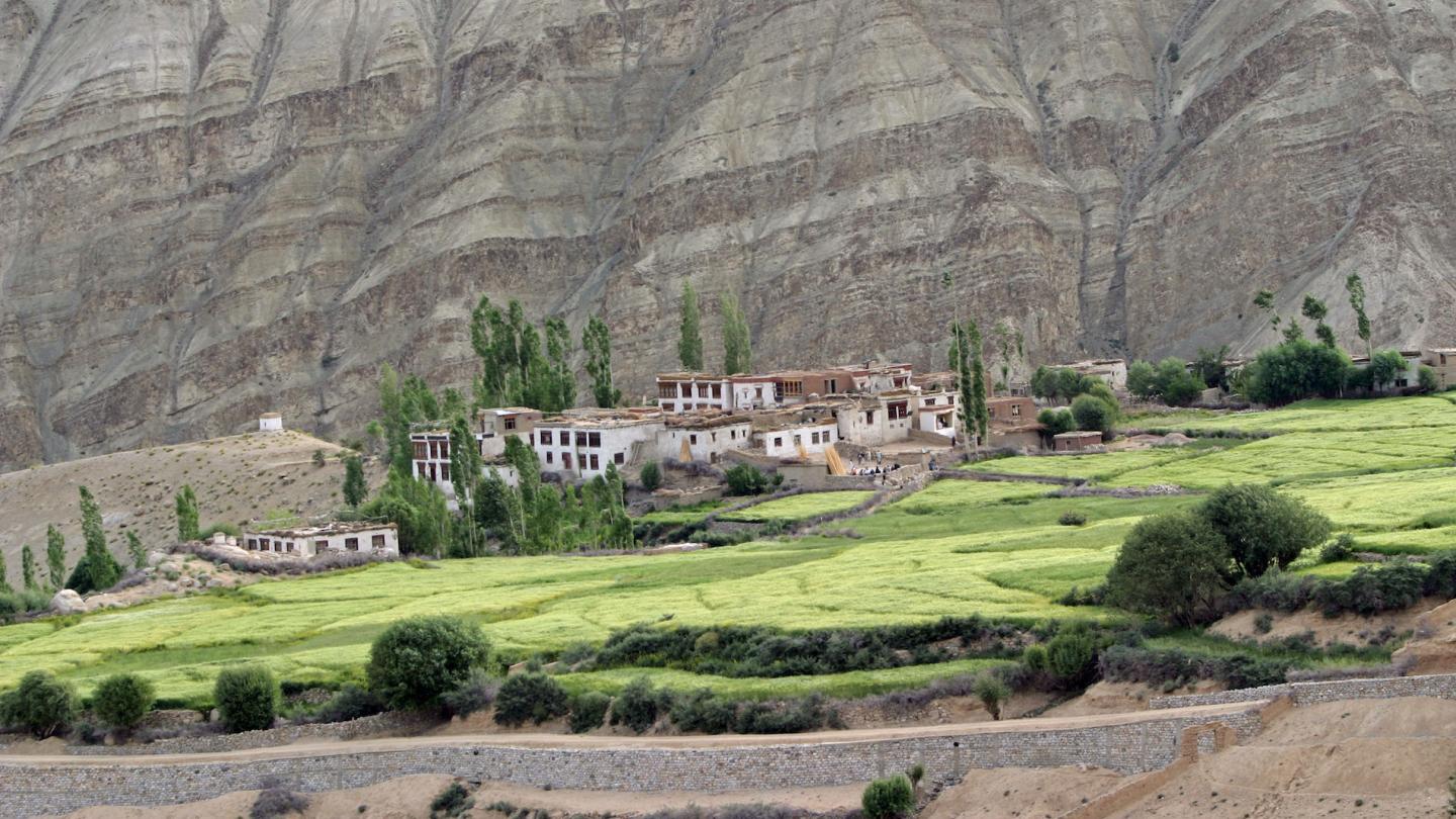 Village de Ladakh, vallée de l'Indus (Inde)