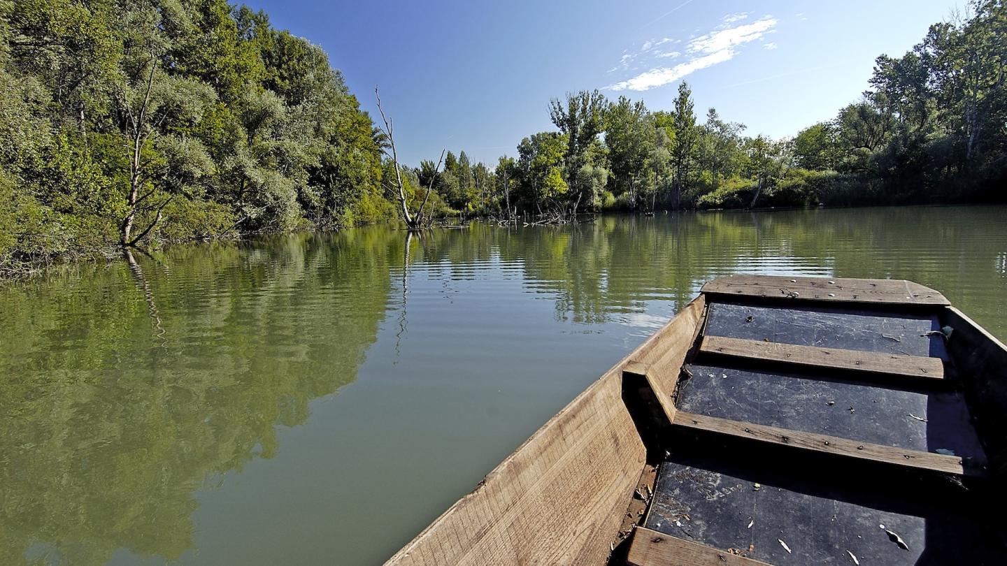 Barque à fond plat sur un bras du vieux Rhin, réserve naturelle de l'île de Rhinau (France)