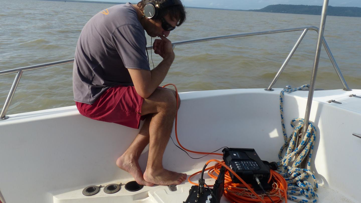 Suivi acoustique des dauphins de Guyane (Guyane Française)