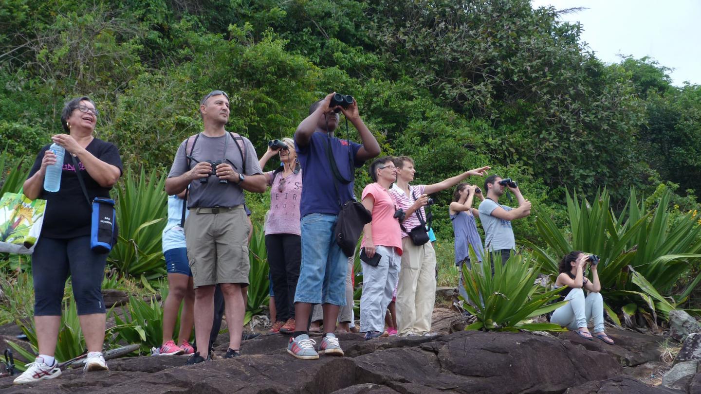 Observation des dauphins de Guyane par la population locale (Guyane Française)