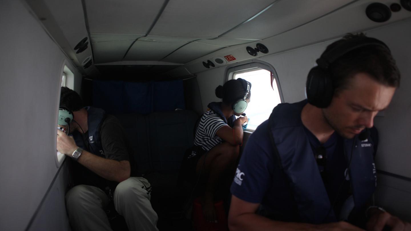 Survol aérien pour étudier la répartition des dauphins de Guyane (Guyane Française)