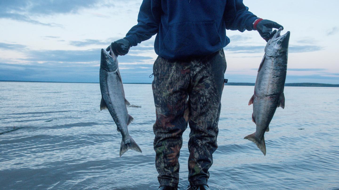 Pêche de subsistance, baie de Bristol, Alaska (Etats-Unis)