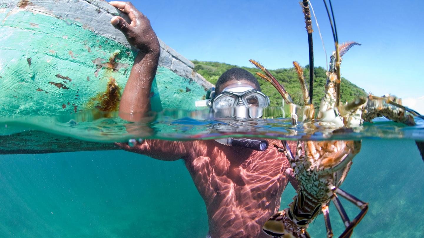 Mario Flores Aranda, pêcheur et leader de la community du East End dans l'eau avec un homard à la main, Cayos Cochinos, Honduras