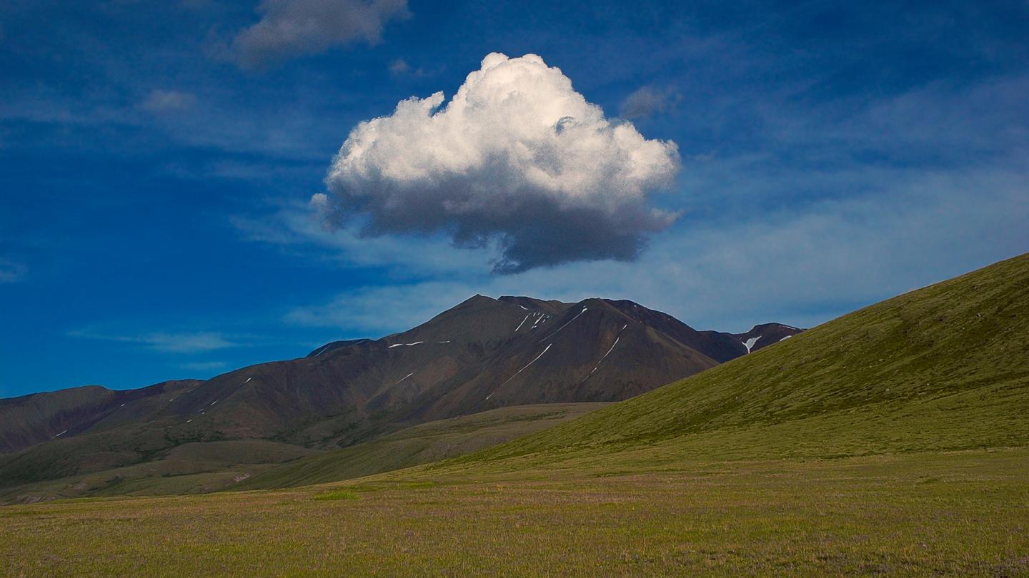Réserve naturelle du Plateau de l'Oukok (Russie)