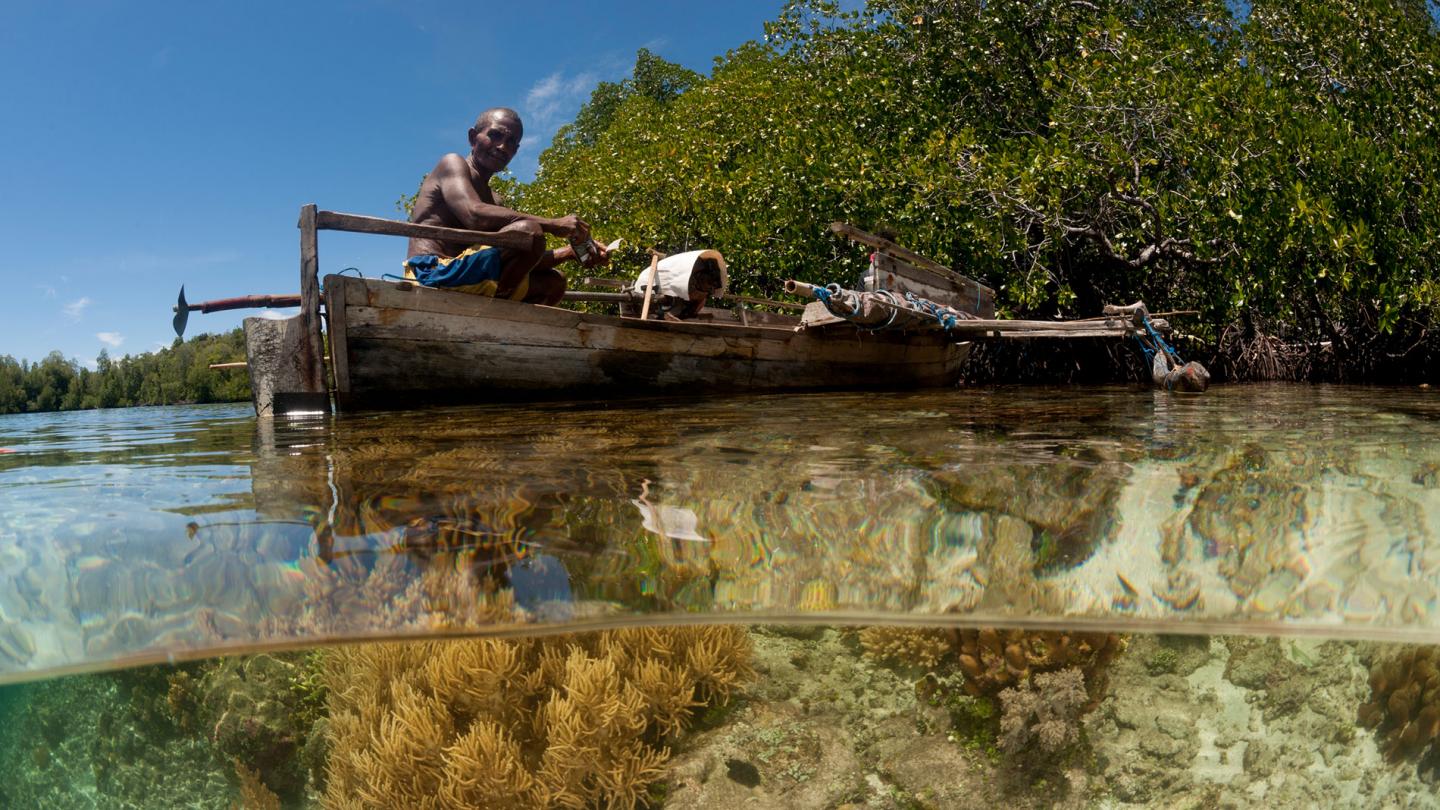 Vue d'un récif corallien peu profond et des mangroves avec un Papou sur sa pirogue. Papouasie occidentale