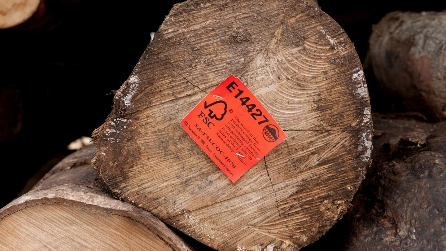 Bois certifié FSC de l'entreprise Kolombangara Forest Products Limited, Iles Salomon