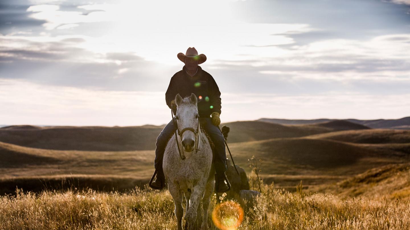 Cow-boy à cheval dans les Grandes Plaines du Nord près de Lowry, Dakota du Sud (USA)