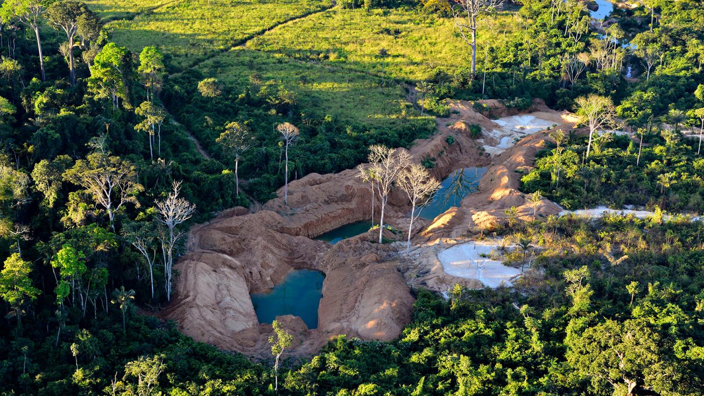 Conséquences de l'exploitation minière en Amazonie (Brésil)