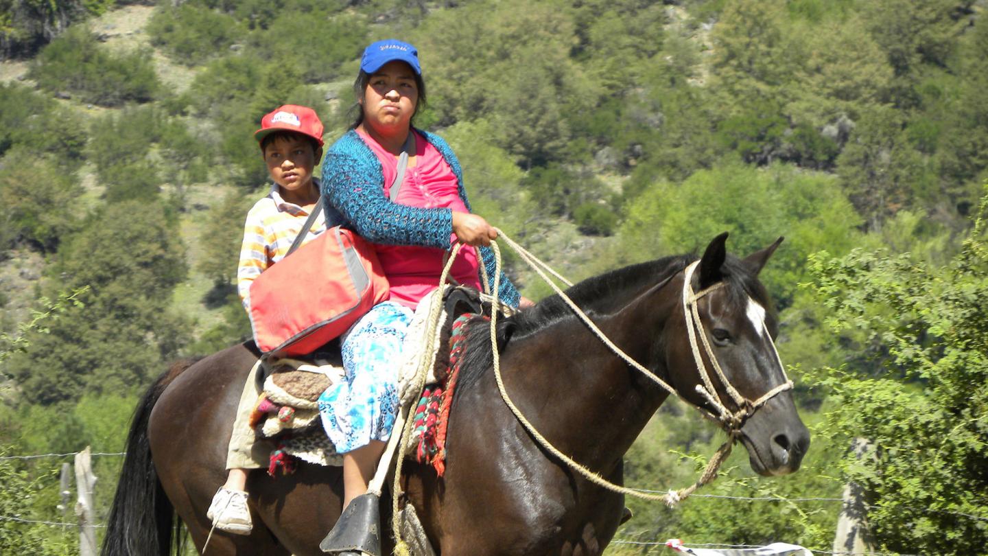 Population Pehuenche à cheval