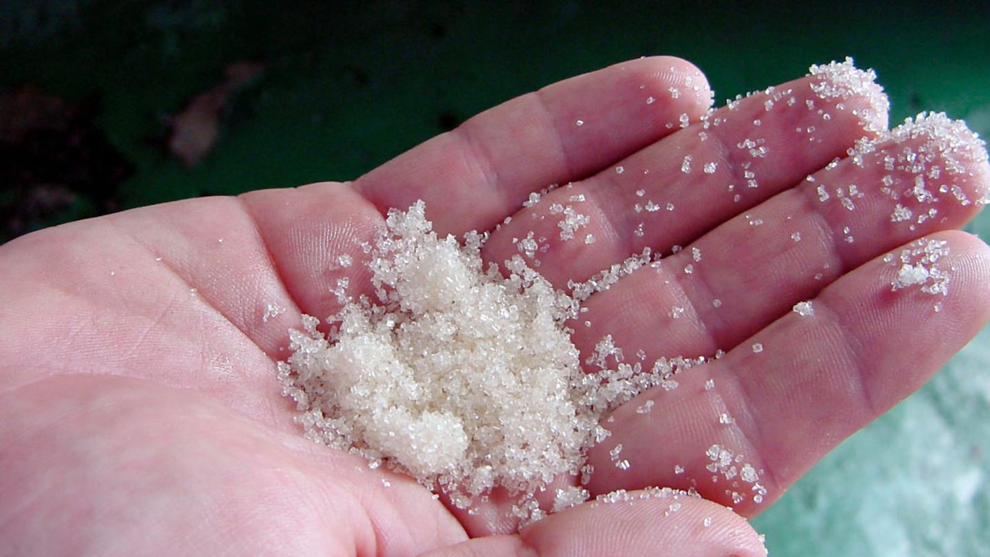 sucre en poudre dans une main