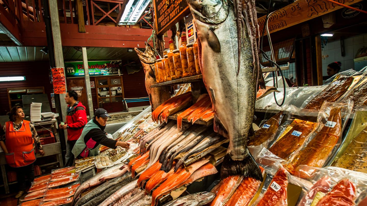 Saumons à vendre sur un marché de Puerto Montt, Chili