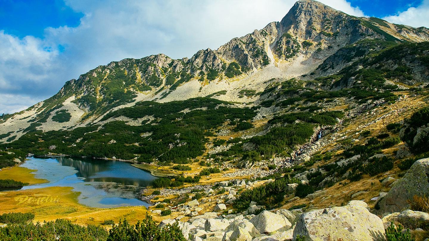 Parc national de Pirin