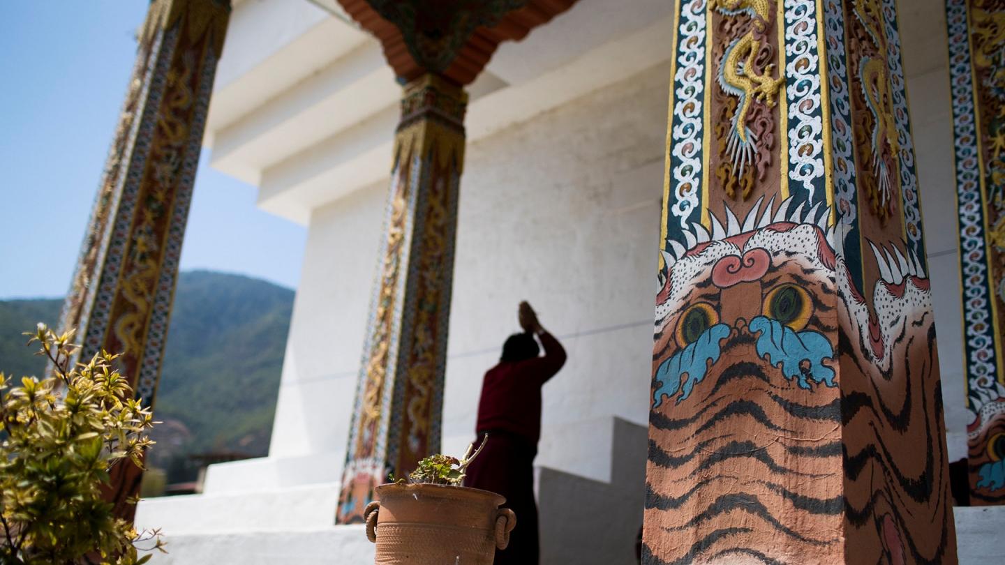 Tigre peint au mémorial Stupa, Thimphu (Bhoutan)