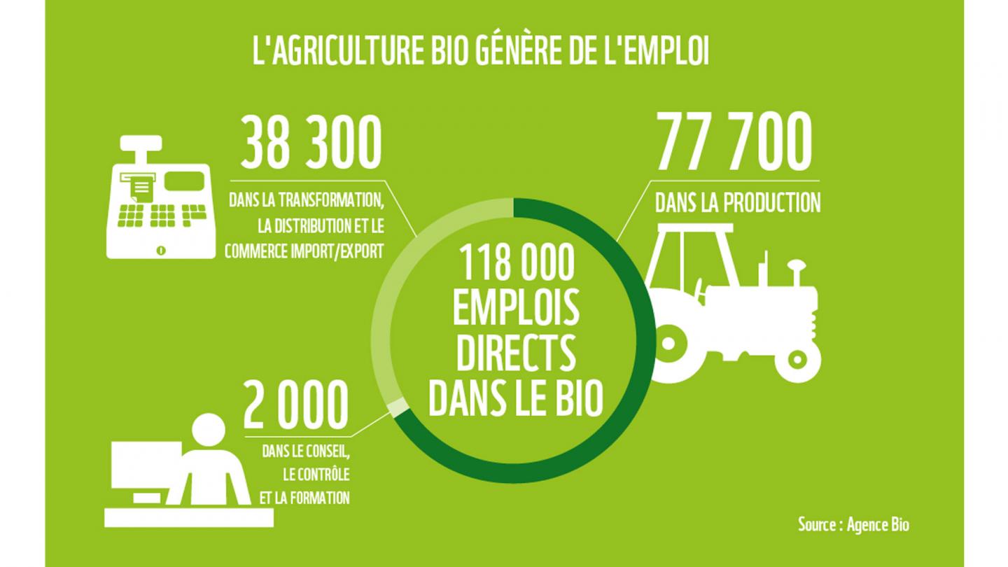 Infographie 10 signaux : le boom du bio fait décoller l'emploi