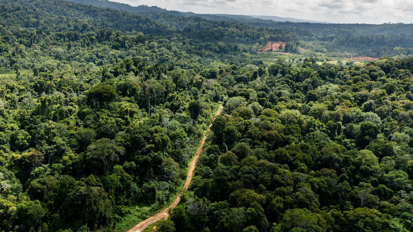 Vue aérienne de la piste d'atterrissage Paul Isnard près du camp "Montagne d'Or", premier projet d'exploitation aurifère industriel de la société internationale Nordgold (Guyane française)