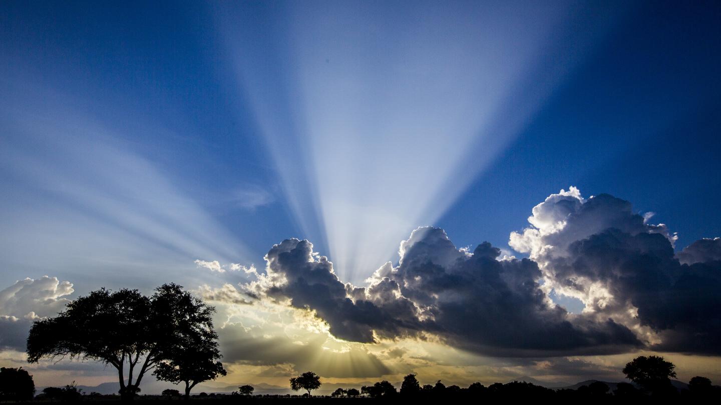 Coucher de soleil dans le Parc National Mikumi (Tanzanie)