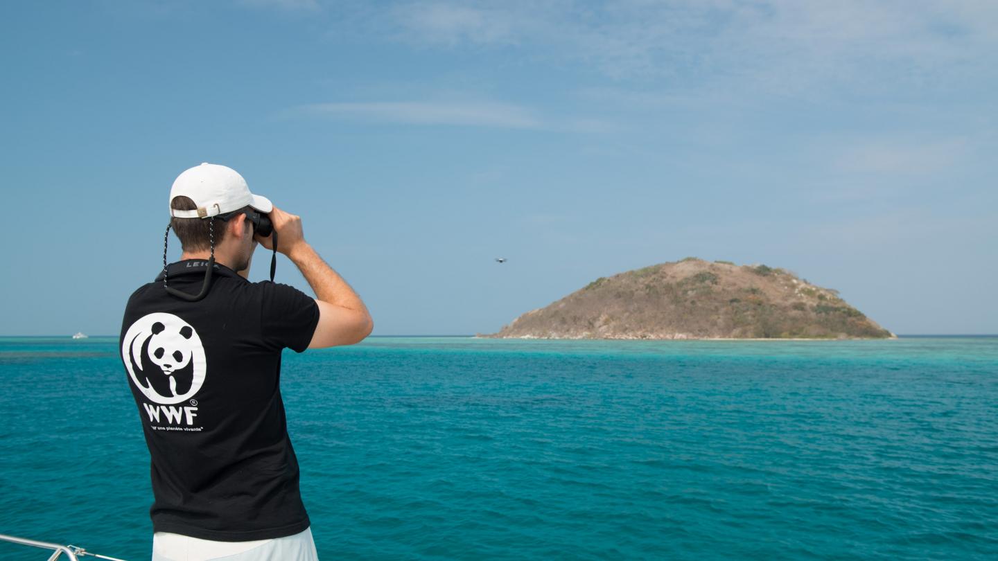 Le suivi des tortues du Grand Lagon Sud (Nouvelle-Calédonie) permet de relever des informations sur les populations d'oiseaux et mammifères marins qui fréquentent la zone
