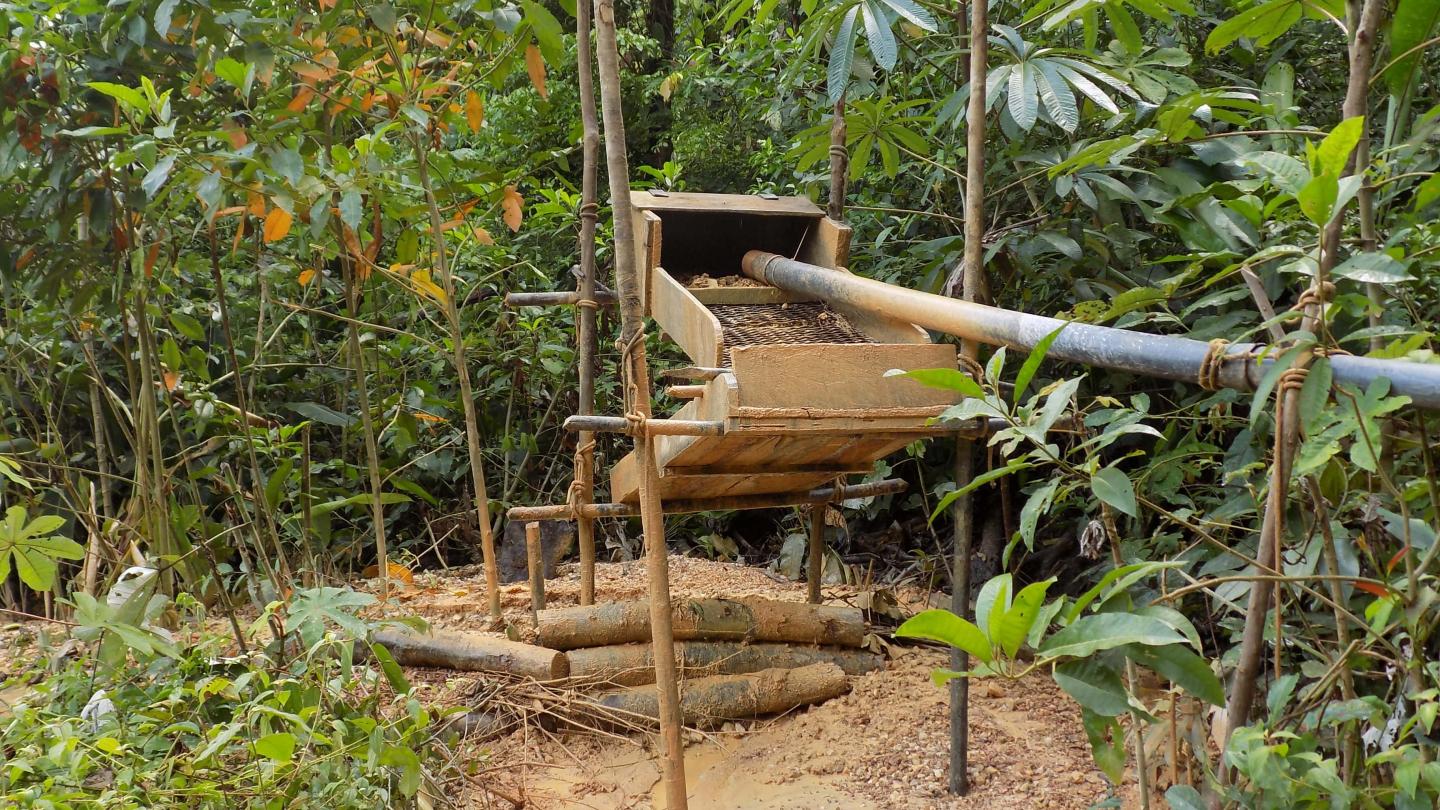 Installation clandestine de garimpeiros dans la forêt Amazonienne pour filtrer la terre et récupérer des pépites d'or (Guyane Française et Suriname)