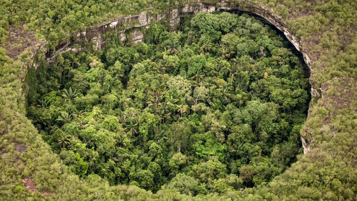 "Le Stade" une formation géologique rare du Parc national naturel de la Serranía de Chiribiquete, Colombie