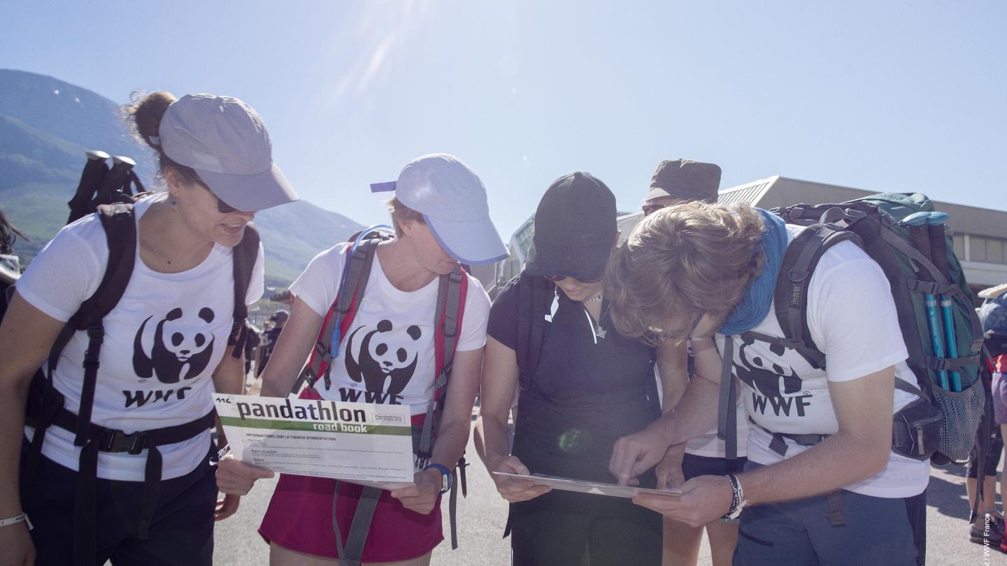Equipe de pandathlètes en train d'élaborer leur stratégie pour la course d'orientation du Pandathlon à l'Alpe d'Huez (France)