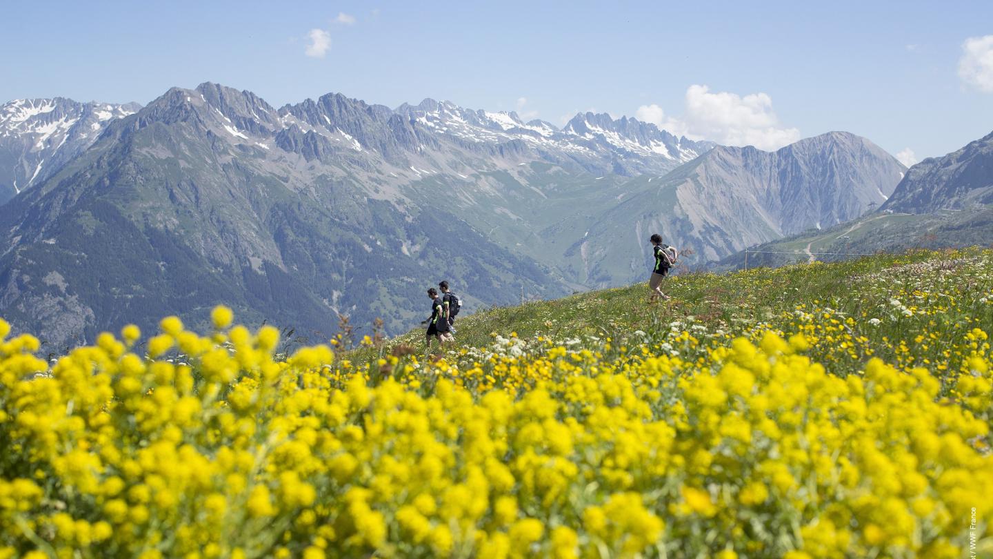 Equipe de pandathlètes qui descendent un chemin de montagne à l'Alpe d'Huez (France)