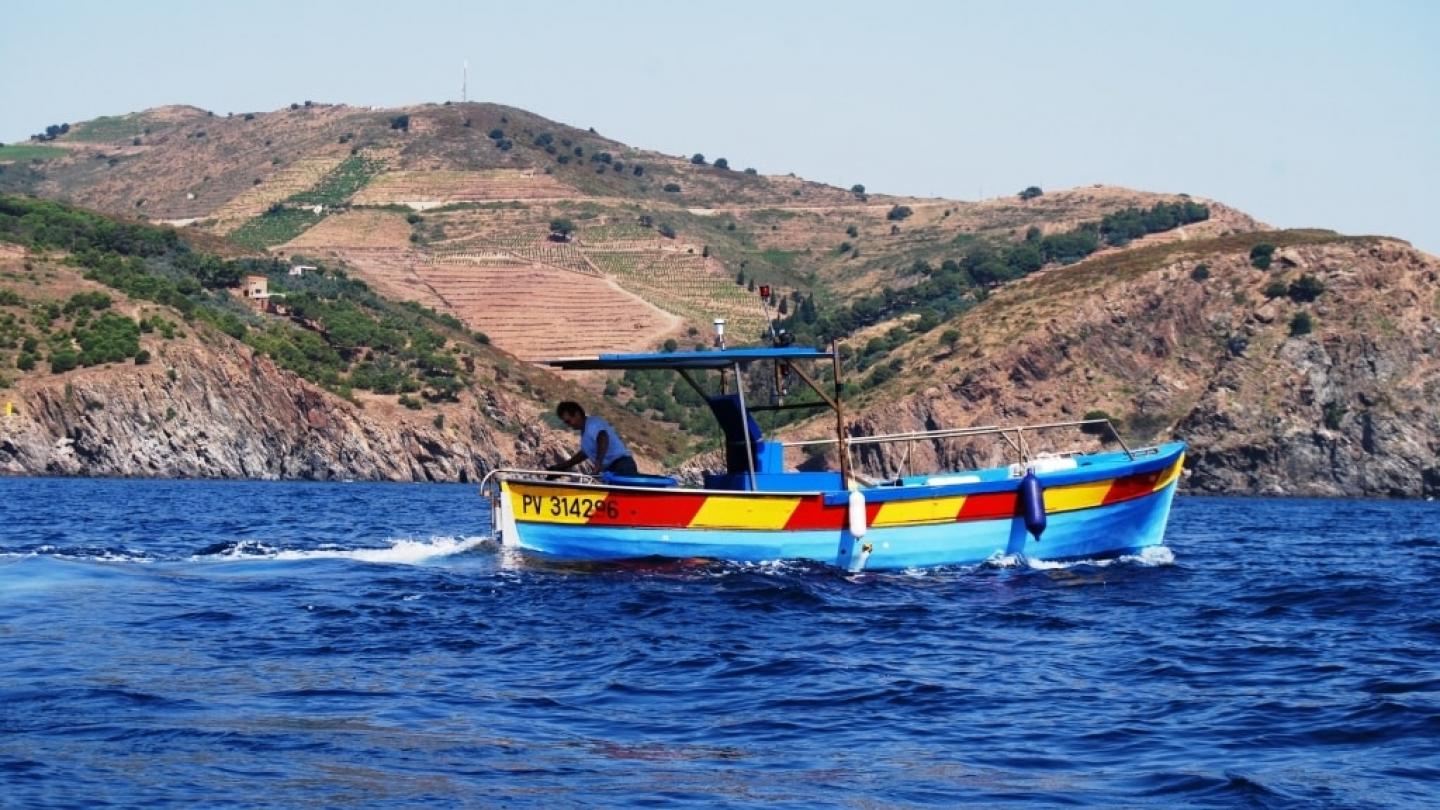 Pêcheur au sein d'une petite ferme d'aquaculture proche de Banyuls-sur-Mer, France