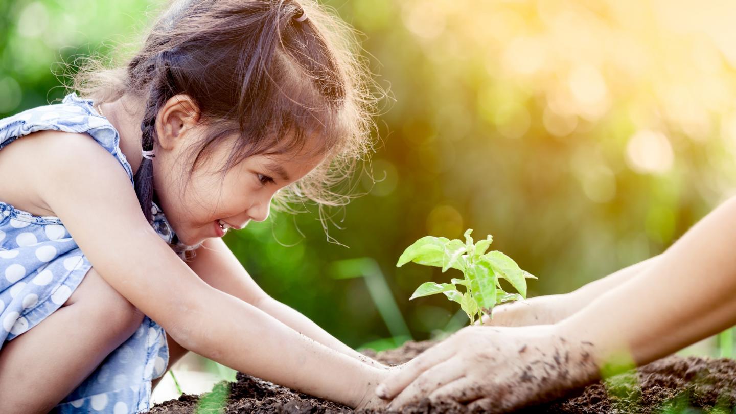 Une petite fille asiatique qui plante un arbre.