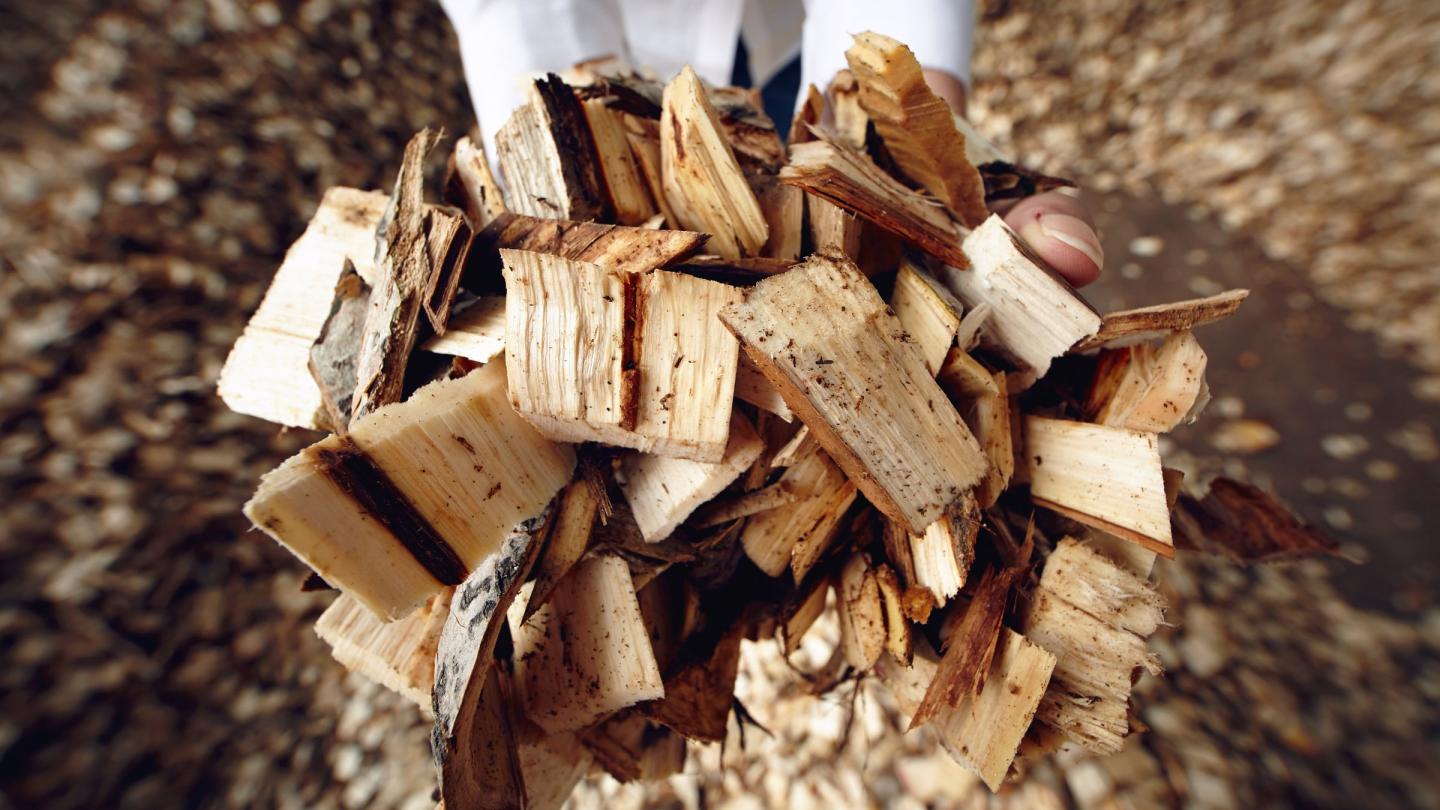 Inspection de la qualité des morceaux de bois dans l'entreprise Zao Zhuang Hua Run Paper Co., Ltd., Chine